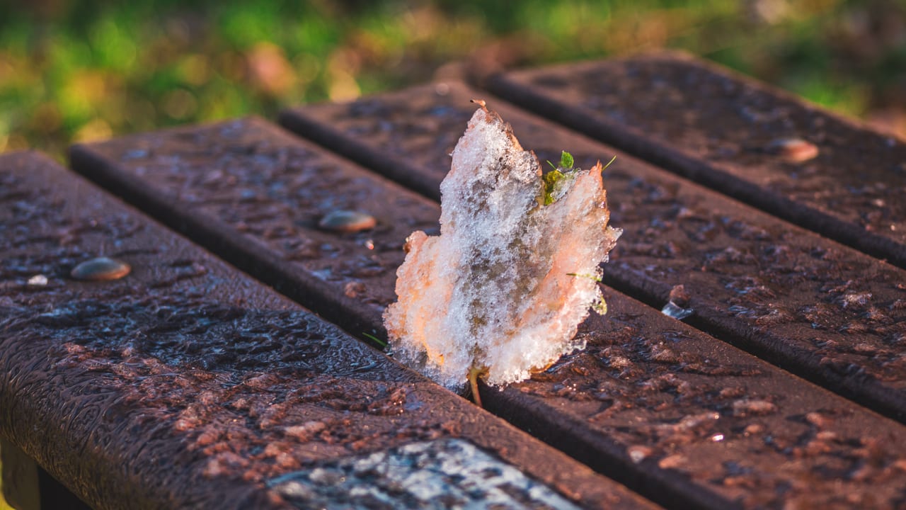 Melting frost clinging to the edge of a wooden bench at golden hour
