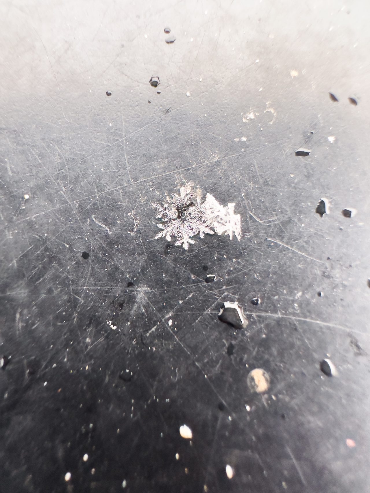 A single snowflake resting on a dark surface