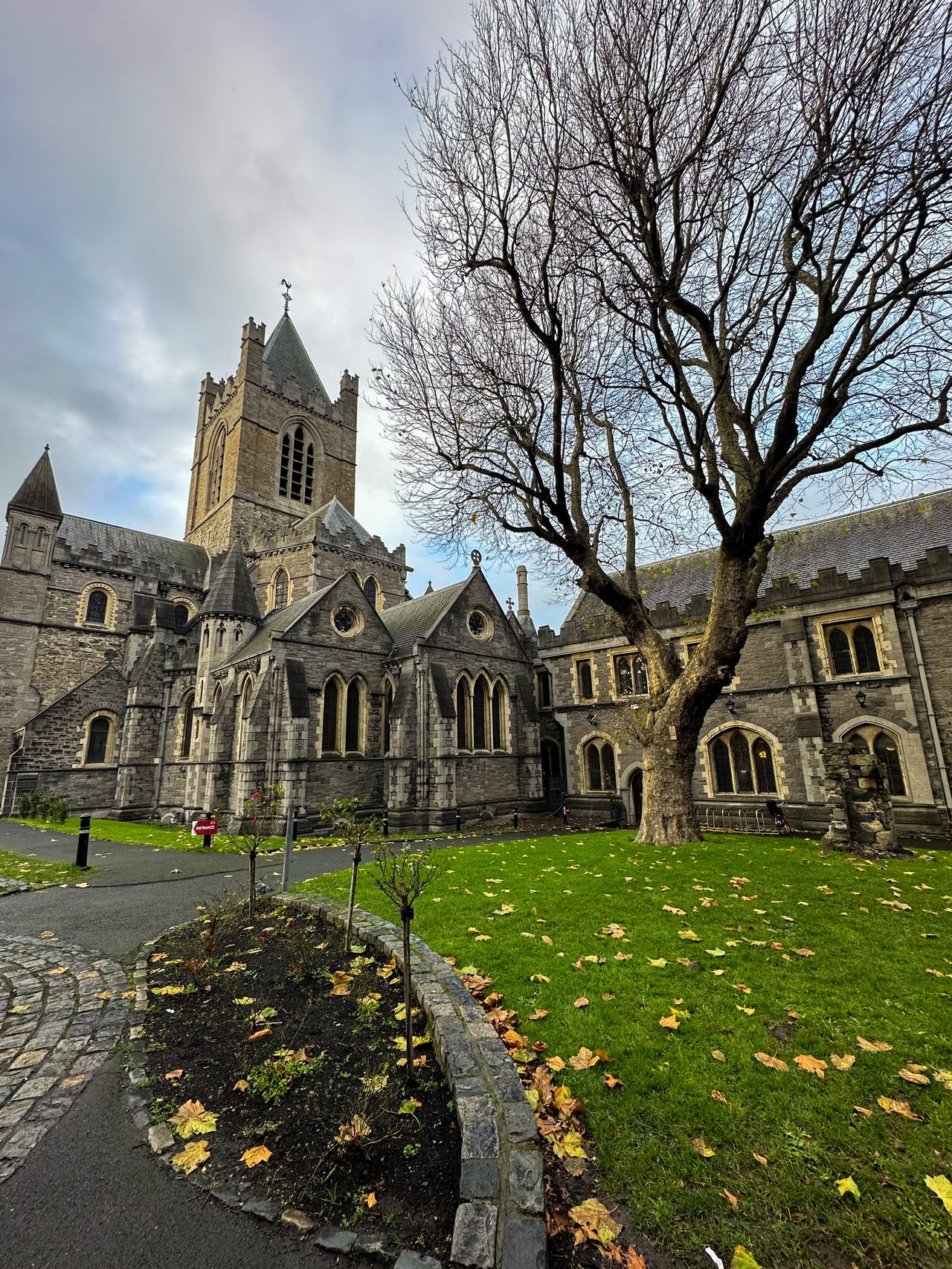 Christ Church Cathedral beside a bare autumn tree