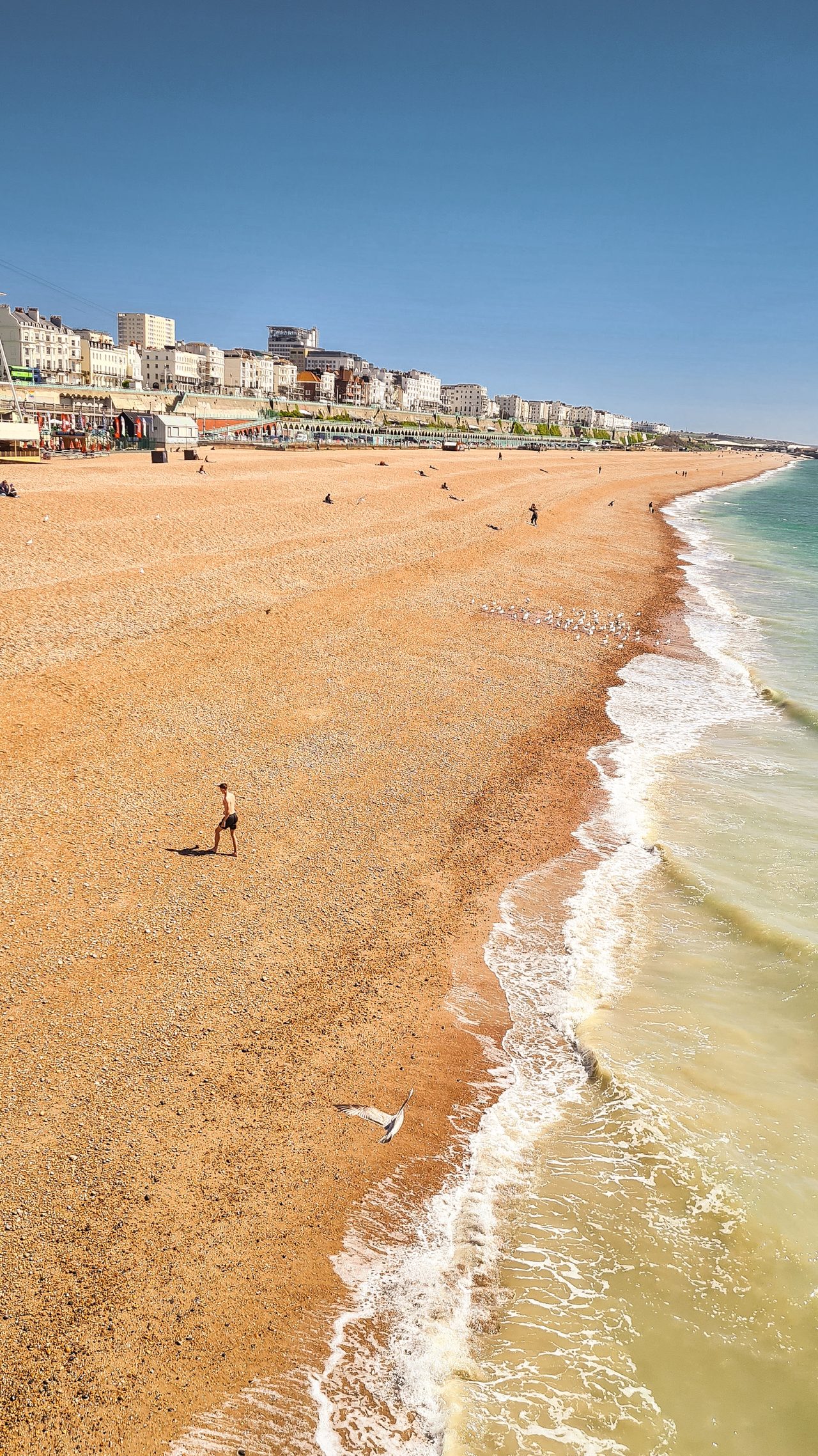 A sweeping Brighton pebble beach curving along a turquoise sea on a bright day