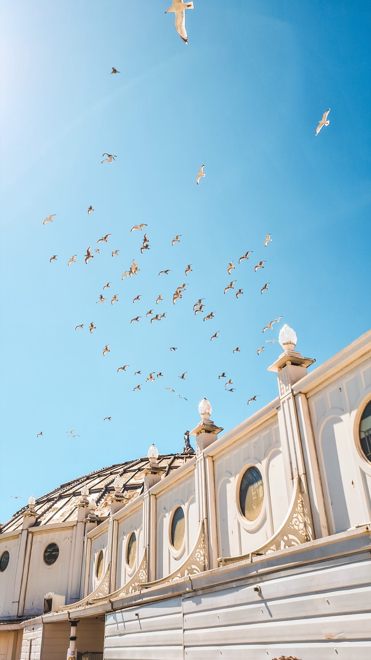 Seagulls swirling above the white domes of a Belle Epoque seafront building