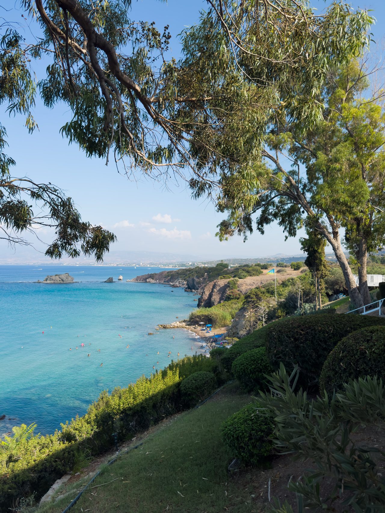 Turquoise Mediterranean coastline framed by eucalyptus branches near Akamas